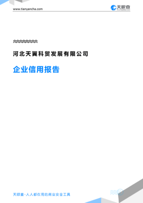 河北天翼科贸发展有限公司企业信用报告深度解析